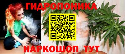 дмт Рязань