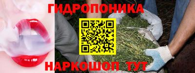 шишки Рузаевка